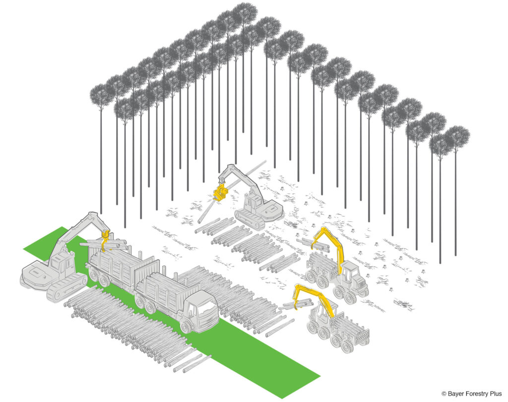 © BAYER Forestry Plus